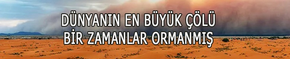 BİR ZAMANLAR ORMANMIŞ
