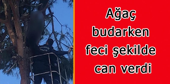 Ağaç budarken elektrik akımına kapılan kişi feci şekilde can verdi