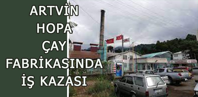 Artvin-Hopa Çay fabrikasında iş kazası