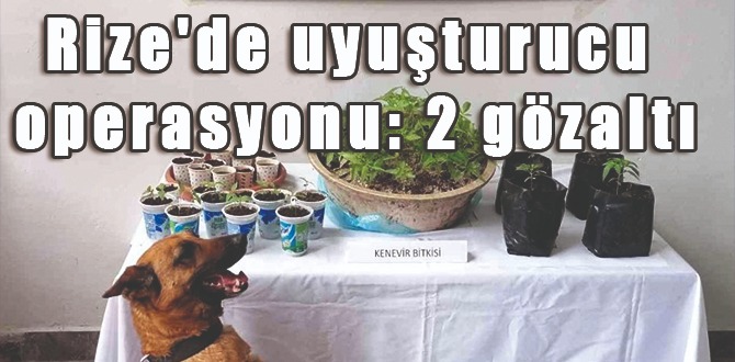 Rize'de Uyuşturucu Operasyonu