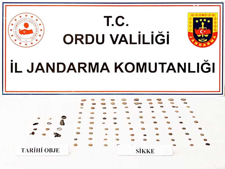 Ordu'da ev ve iş yerinde tarihi eser ele geçirilen 1 kişi yakalandı