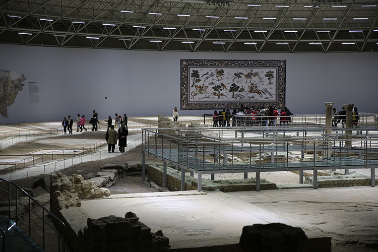 Aşil'in hayatı ve savaşçı Amazon kadınlarının mozaikleri Şanlıurfa'da sergileniyor