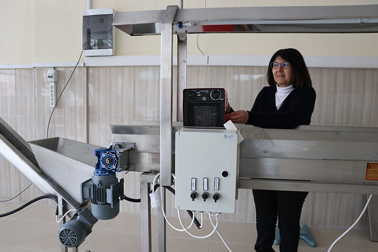 Gurbetçi kadın 50 yıl sonra döndüğü memleketinde organik içecek üretecek