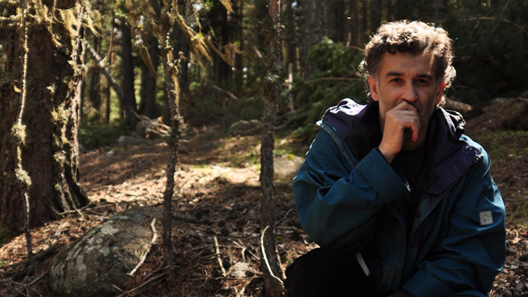 İstanbul çevresinde kurt yaşaması büyük önem taşıyor