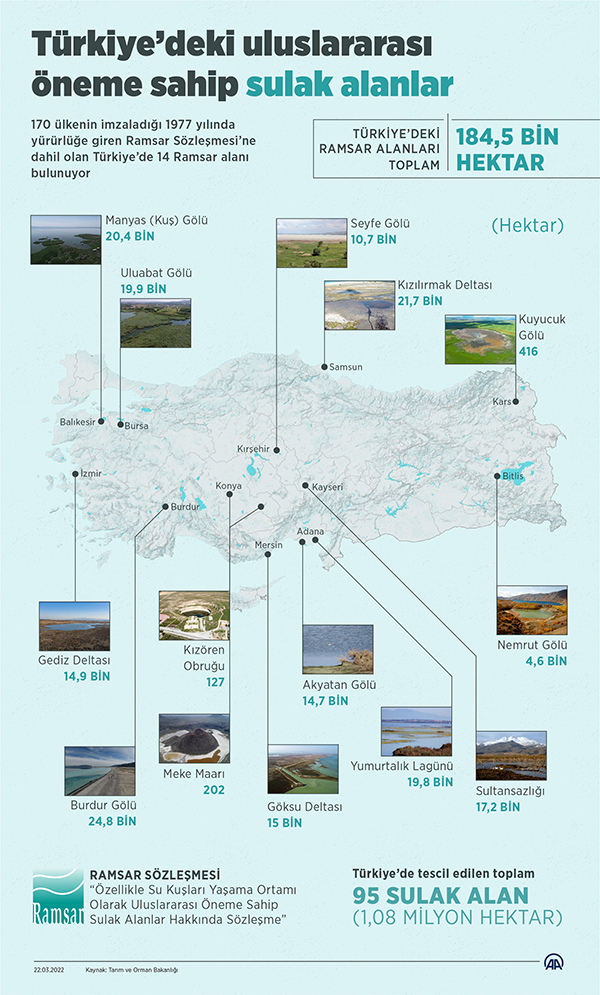 Sulak alanlar iklim kriziyle mücadelede önemli rol oynuyor