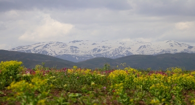 Bayburt'ta yüksek kesimler beyaza büründü