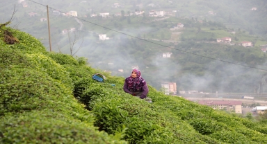 Deprem bölgesinde yapılacak