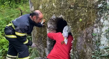 Ordu'da boş su deposuna düşen inek kurtarıldı
