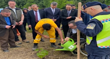 Samsun'da fidan dikme etkinliği düzenlendi