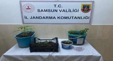 Samsun'da uyuşturucu operasyonunda 1 zanlı yakalandı