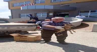 Samsun'da yaralı karaca yavrusu tedavi altına alındı