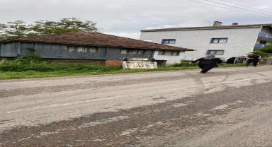 Sinop'ta devrilen hafif ticari araçtaki 2 kişi yaralandı