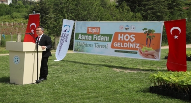 TOGÜ'de üretilen 2 bin aşılı asma fidanı üreticilere dağıtıldı
