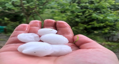 Trabzon'un dolu yağışı etkili oldu