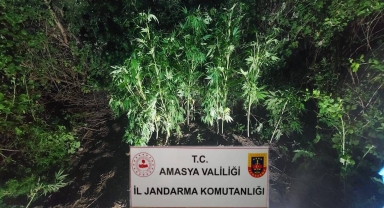 Amasya'da uyuşturucu operasyonunda 2 zanlı tutuklandı