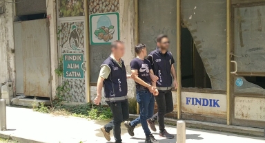 Düzce'de 16 düzensiz göçmen yakalandı