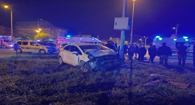 Düzce'de otomobille cipin çarpıştığı kazada 5 kişi yaralandı