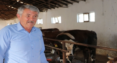 Havza Ziraat Odası Başkanı Genç'ten Kurban Bayramı öncesi uyarı damızlık dişi uyarısı