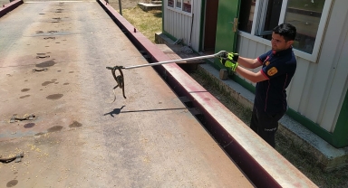 İskilip'te TMO bahçesinde yakalanan yılan doğal yaşam alanına bırakıldı