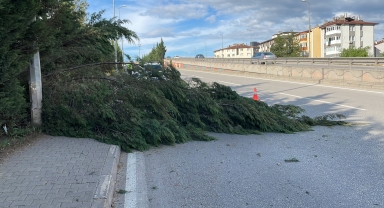 Karabük-Safranbolu kara yoluna devrilen ağaçlar kaldırıldı