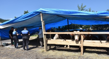 Karabük'te kurbanlık satıcılarına dolandırıcılık uyarısı