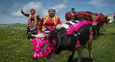 Karadeniz'de yaylacıların göç yolculuğu başladı
