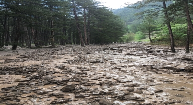 Kastamonu'nun Tosya ilçesinde yağış etkili oldu