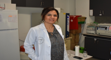 KTÜ'de arı zehrine yönelik TÜBİTAK destekli proje yürütülüyor