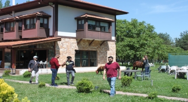 Kuveytli turizmciler Kastamonu'yu ziyaret etti