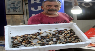 Sinop'ta avlanan yengeçler, kilogramı 75 liradan satılıyor