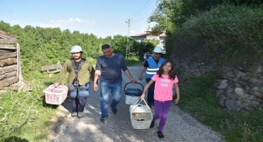 Sinop'ta leylek yavruları, sağlık kontrolünden geçirilip halkalandı