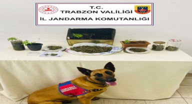 Trabzon'da uyuşturucu operasyonunda 1 kişi gözaltına alındı