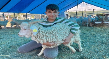 Zonguldak'ta hayvan pazarında Kurban Bayramı hareketliliği yaşanıyor