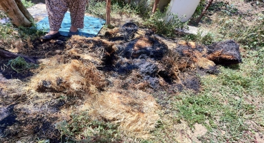 Amasya'da yangın sonucu 200 balya saman zarar gördü