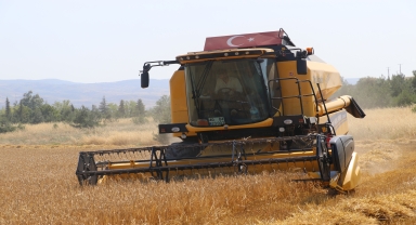 Amasya'nın Suluova ilçesinde yağışlar buğday ve arpa rekoltesini artırdı