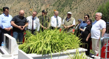 Artvin Valisi Doruk, 15 Temmuz şehitleri Acar ve İnce'nin ailelerini ziyaret etti