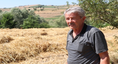 Havza Ziraat Odası'ndan hububatta dane kaybı ve anız yakma uyarısı