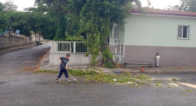 Karabük'te sağanak ve rüzgar etkili oldu