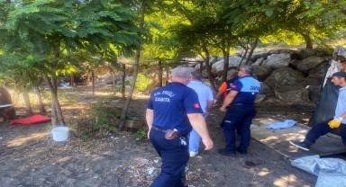 Karadeniz Ereğli'de plajdaki kaçak yapılar kaldırıldı
