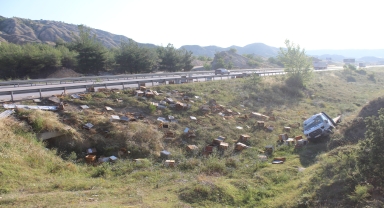 Kastamonu'da devrilen arı yüklü kamyonette yaralanan sürücünün yardımına arıcılar koştu