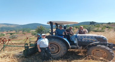 Oğuzlar Kaymakamı Tekin, buğday hasadına katıldı