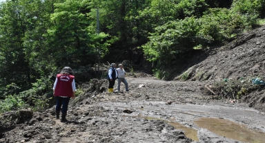 Ordu'da heyelanlardan zarar gören fındık bahçelerinde hasar tespiti başladı