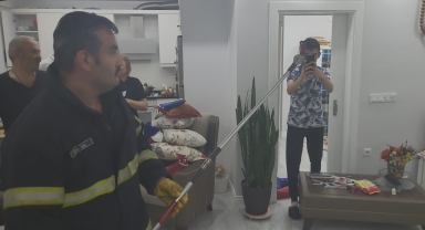 Ordu'da piknik yapan ailenin çantasına giren yılanı itfaiye ekipleri çıkarttı