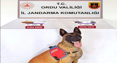 Ordu'da uyuşturucu operasyonlarında bir kişi tutuklandı