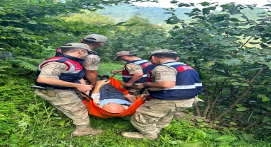 Ordu'da yediği mantardan zehirlenen kişi tedavi altına alındı