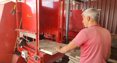 Samsun'da kışlık sebze fidesi üretimi için viyollere tohum ekimi başladı