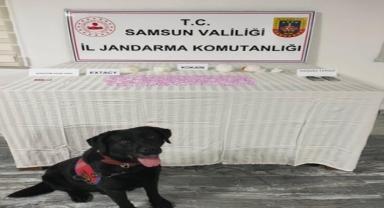 Samsun'da uyuşturucu operasyonunda bir zanlı tutuklandı