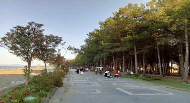 Samsun'daki Miliç Plajı ziyaretçilerine yeşil ile maviyi bir arada sunuyor
