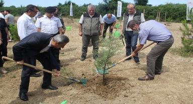 Sinop'ta 15 Temmuz şehitleri için 251 fidan toprakla buluşturuldu