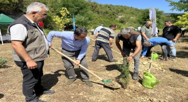 Sinop'un Gerze ilçesinde 15 Temmuz şehitleri anısına fidan dikildi